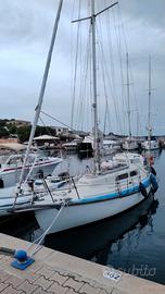 barca a vela Laurin Koster 28