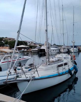 barca a vela Laurin Koster 28