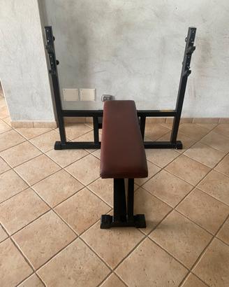 Panca piana con porta bilanciere technogym