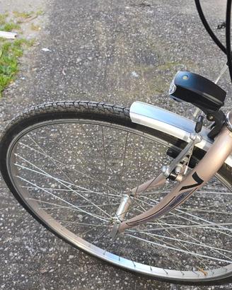 Bici da passeggio