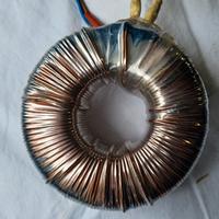 TRASFORMATORE TOROIDALE  RELCO 220/12 VOLT