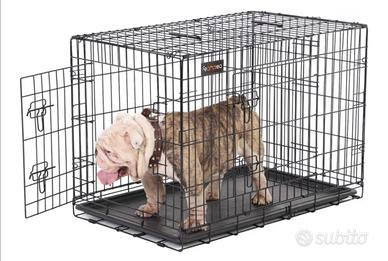 Kennel cuccia trasportino cani