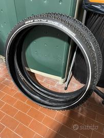 Coppia Copertoni SCHWALBE SMART SAM PLUS 29x2,25