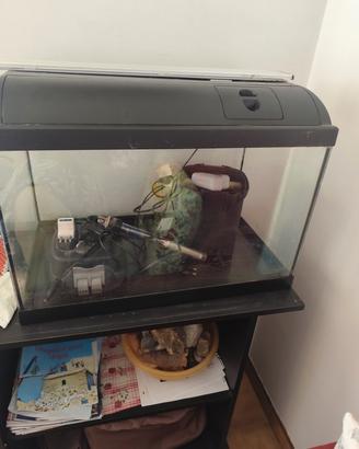 acquario 