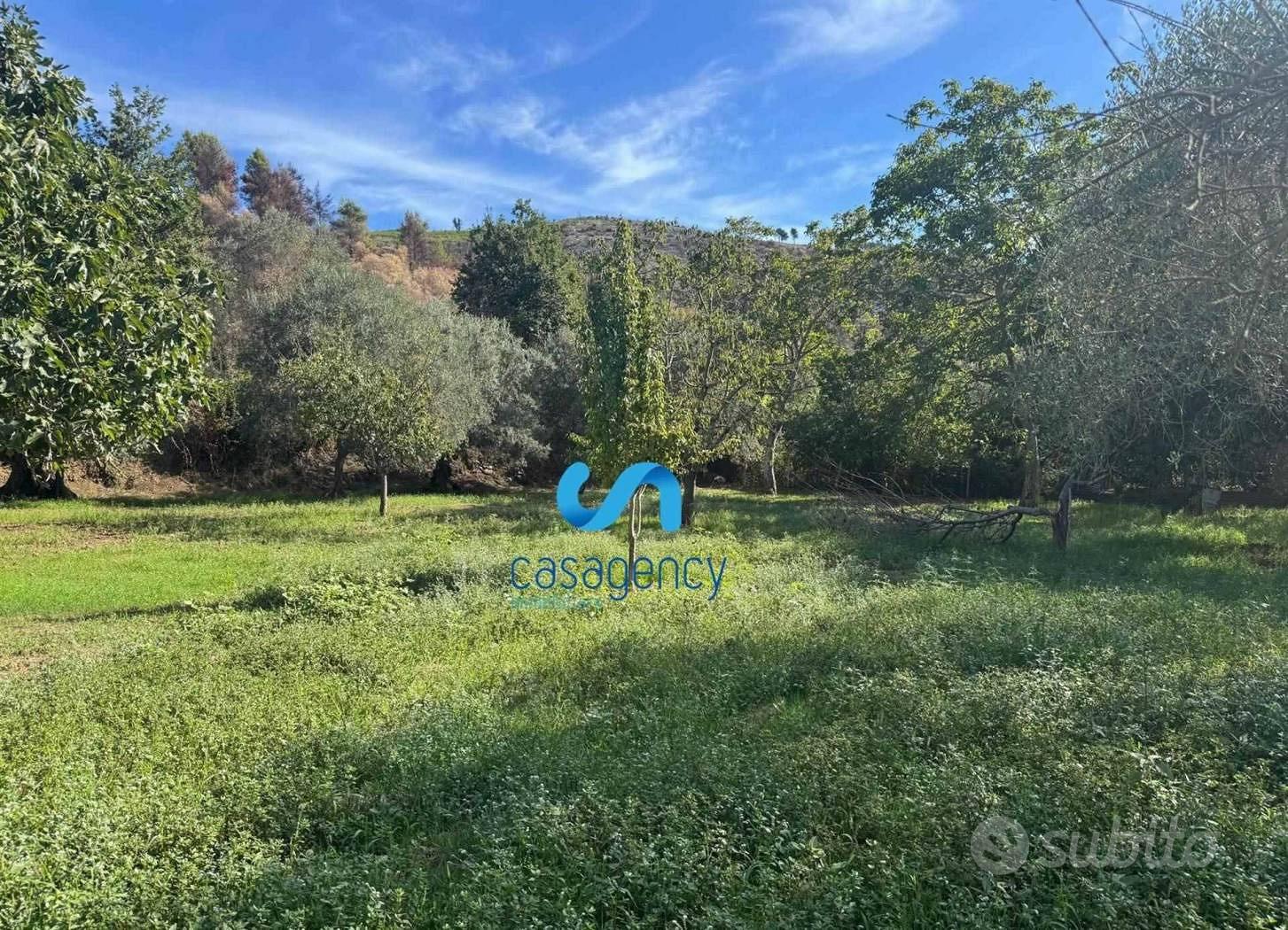 Terreno agricolo 3.100 mq - Mezzano (CE) - Vista 3