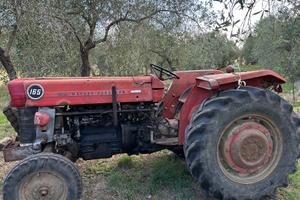Trattore Massej-Ferguson 164. 65hp