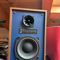 Rcf BR 23 monitor
