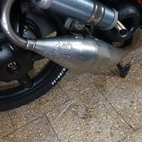 Marmitta malossi team