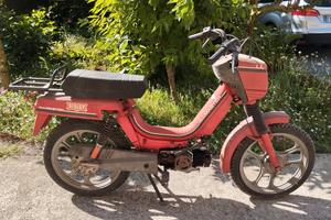 Atala master LL Tubone 1985