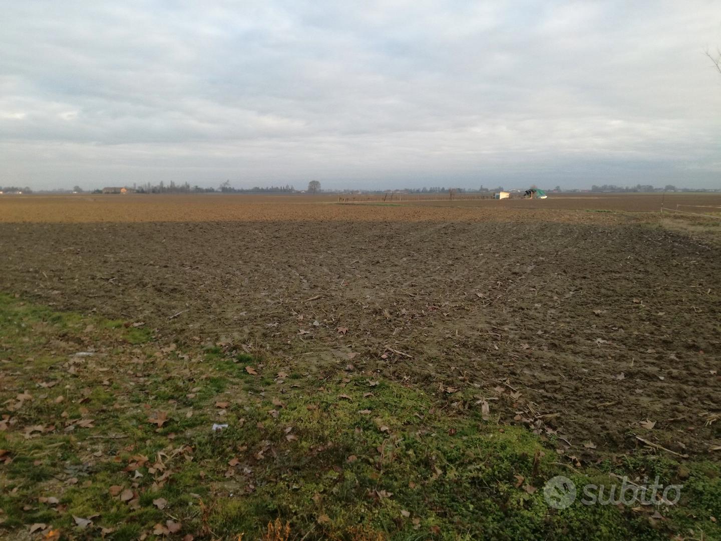 Terreno agricolo - Vista 2