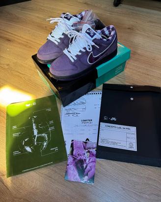 Nike Dunk Low Sb Concepts (Aragosta viola)