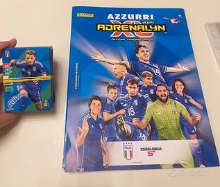 Album completo con carte ,tutte anche quelle rare