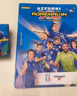 Album completo con carte ,tutte anche quelle rare