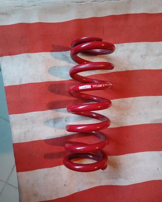 ammortizzatore molla rock shox enduro .