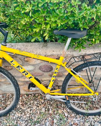 Bicicletta ragazzi