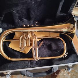 flicorno soprano sib