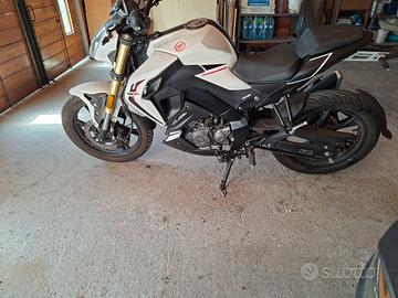benelli rkf 125