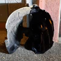 Passaruota / parasassi scenic 3