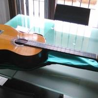 Chitarra