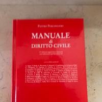 Manuale di diritto civile