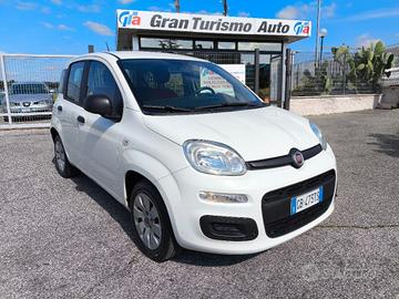 FIAT Panda 1.2 Easy PREZZO REALE! FATTURABILE! A