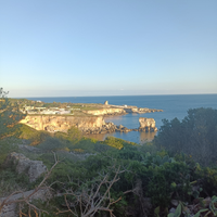 Aiutocuoco /lavapiatti con esperienza