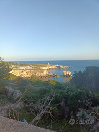 Aiutocuoco /lavapiatti con esperienza