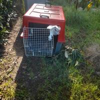 trasportini  per animali 