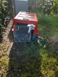 trasportini  per animali 