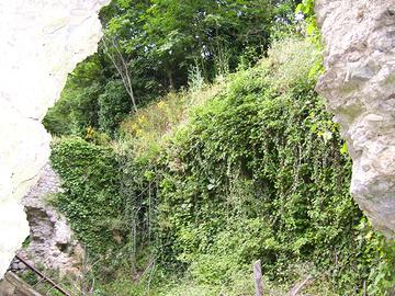 Terreno tovo s g, sopra imperia e rudere