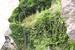 Terreno tovo s g, sopra imperia e rudere