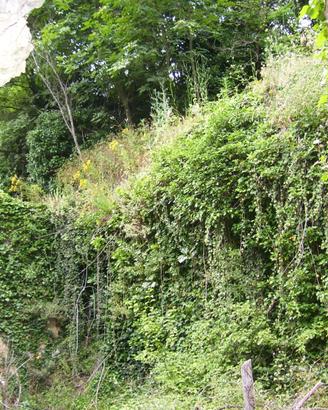 Terreno tovo s g, sopra imperia e rudere