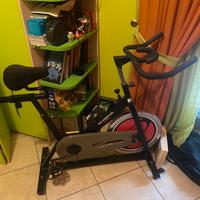 Cyclette Olympus Sport