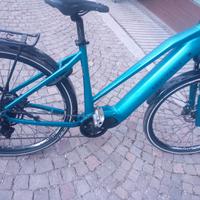 E-trk Bike Montana