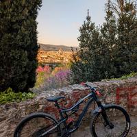 Rockrider Am50s