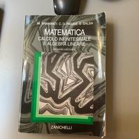 Matematica calcolo infinitesimale e algebra linear