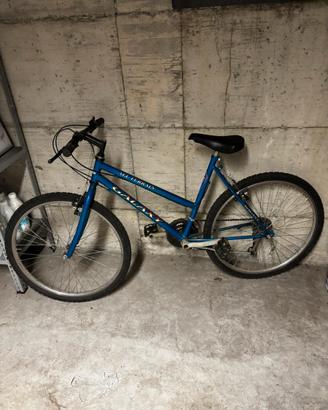 Bicicletta a marce