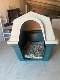 Cuccia cane