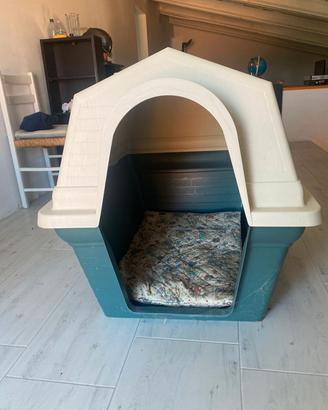 Cuccia cane