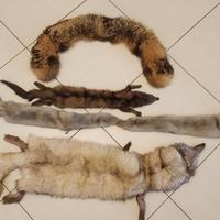 Stole di pelliccia, sciarpa, scaldacollo degli ann