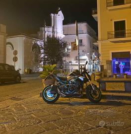 porta targa  corto lightech kawasaki.