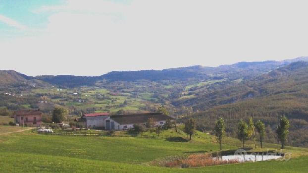 Azienda agricola da latte per parmigiano reggiano