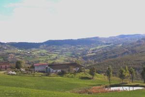Azienda agricola da latte per parmigiano reggiano