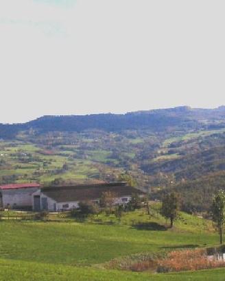 Azienda agricola da latte per parmigiano reggiano