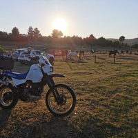 Suzuki Dr600 Djebel 1988