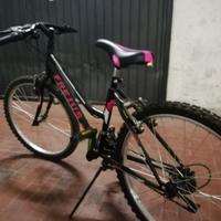 Bicicletta Frejus