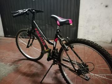Bicicletta Frejus