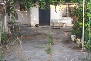 Casa con terreno.