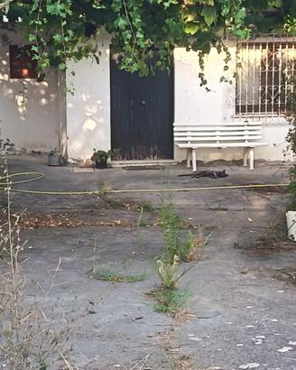 Casa con terreno.