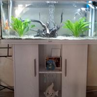 Acquario Rio Juwel 180